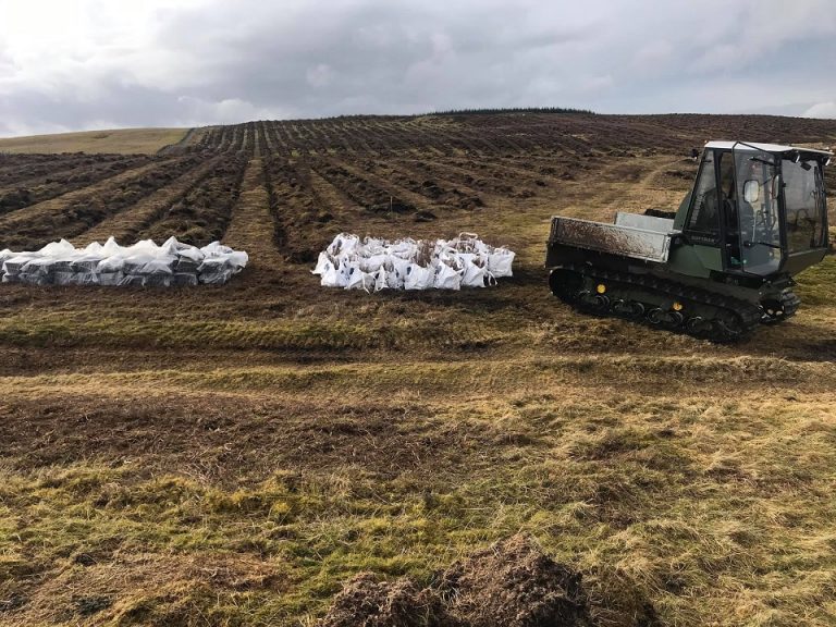 Softrak - CK Forestry